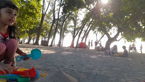 Beach Tamarin #youtubeshorts #shorts #familypakmaurice
