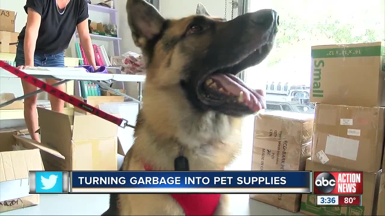 Largo business that turns recycled water bottles into dog collars up for an award