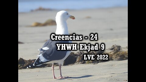 Creencias 24 - YHWH Ekjad 9