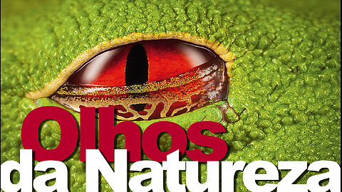 Olhos da Natureza | Documentário | Eyes of Nature| JV Jornalismo Verdade