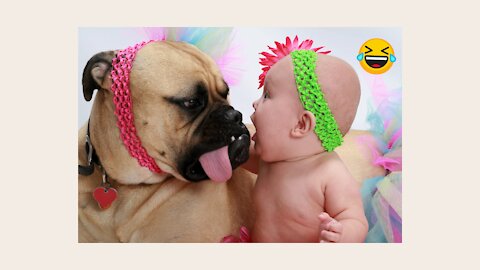 Babies and Dogs!🤣😂