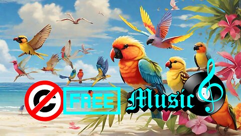 Summer Martin Birds In The Beach Vlog No Copyright Music Upbeat Tropical House Background!
