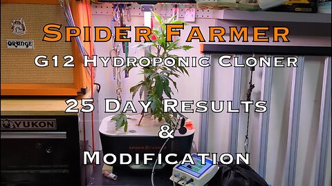 Hydroponic LED Cloner, 2023 Spider Farmer G12 & Modification, 25 DAY RESULTS ARE AMAZING only $79 !