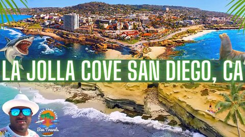 La Jolla San Diego California | La Jolla Cove | San Diego Vacation Vlog