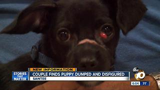 Couple finds puppy dumped and disfigured