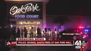 Several gunshots fired at Oak Park Mall