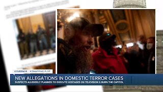 New allegations in domestic terror cases
