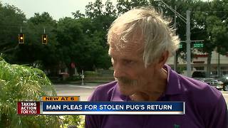 69-year-old man's car stolen with dog still inside at Hillsborough Co. shopping center