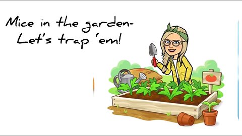 Pest problems in the garden #hedgehogshomestead #gardening