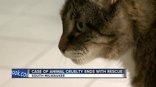 Case of animal cruelty ends with rescue