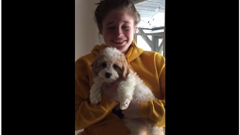 Emotional Girl Cannot Handle The New Puppy Surprise