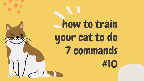 how to train your cat to do 7 commands #10