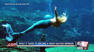 What it takes to become a Weeki Wachee mermaid