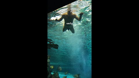 Man Goes Skinny Dipping in Toronto Aquarium
