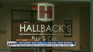 Dirty Dining: Lakeland Regional Airport's on-site restaurant temporarily closes for live roaches