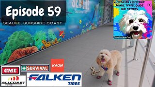 Assistance Animals @ SeaLife Sunshine Coast QLD AUSTRALIA