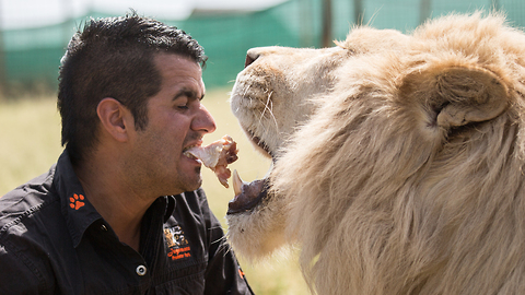 Family Loses Home To Keep Their Tigers and Lions: BEAST BUDDIES