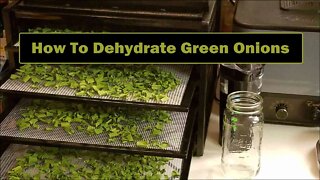 How To Dehydrate Green Onions