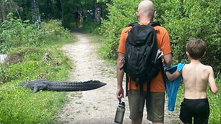 Hiking family has a close encounter with a 7-Foot Alligator