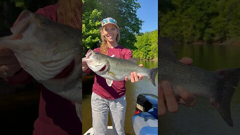 Girl lands a fat bass with THIS lucky shirt! #fishing #lakelife #girlswhofish