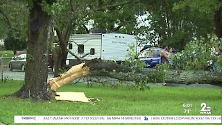 Tornado reported in Edgewater damages homes, knocks down trees and power lines