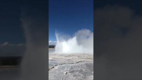 Amazing Geyser In Yellowstone National Park #shorts #shortvideo #yellowstone