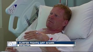 Surfer punches shark to stave off attack