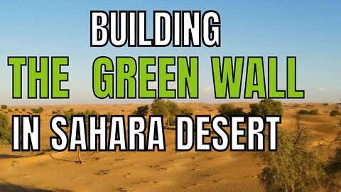 Building a Green Wall in the Sahara from coast to coast