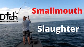 St Lawrence River Smallmouth Slaughter