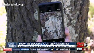 Science Sundays: How to become a Citizen Scientist