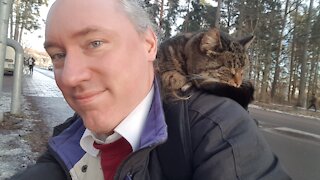 I met a very friendly cat in Gottfridsberg, Linköping