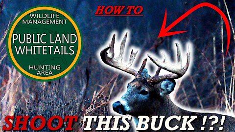 How To Find Bucks On Public Land | Number One Big Buck Hunting Tips | Kill More Bucks