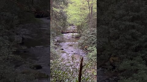Amazing Sounds from Chester Creek! Campsite in North Georgia near Appalachian Trail #shorts