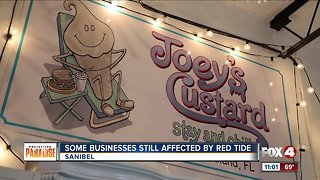 Red tide still impacting businesses on Sanibel Island