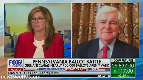 Newt Gingrich on Fox Business Channel's Mornings with Maria | November 18, 2020