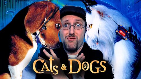 Funniest Cats And Dogs Videos 😂😂😂