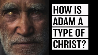 Adam a Type of Christ