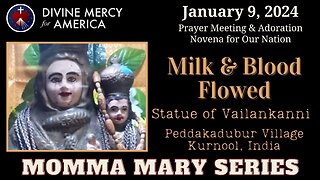 Fr Vijaya Amrutha raj: Milk & Blood Flowed, Statue of Vailankanni in Peddakadubur, Kurnool, India