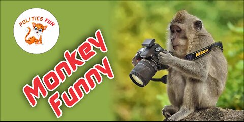 stealing from the monkey، Monkey theft, very loving and naait good video