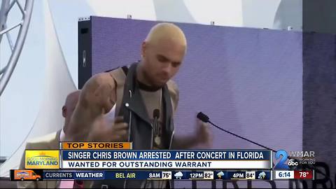 Singer Chris Brown arrested in Florida