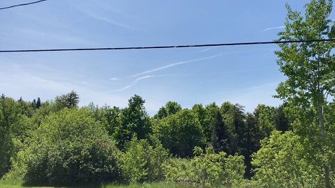 Daily Dose in the Adirondacks “Ya”👀