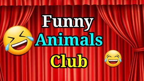 Funny Animal Videos 2022 - Best Dogs And Cats Videos