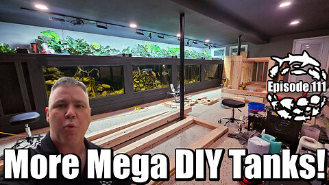 Mega DIY Aquarium Construction Continues in the Aquarium Basement!