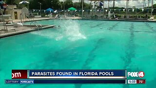 Parasites found in Florida pools