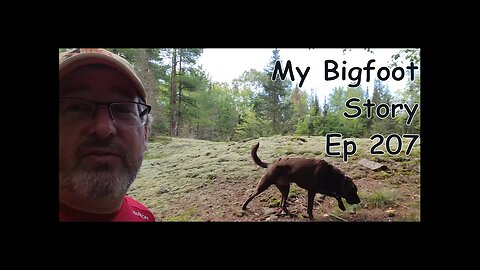 My Bigfoot Story Ep. 207 - Gage and I heard a howl