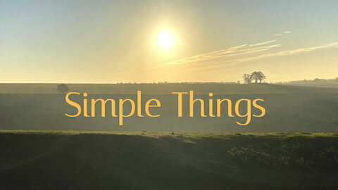 Bertrands Wish - Simple Things (Lyric Video)