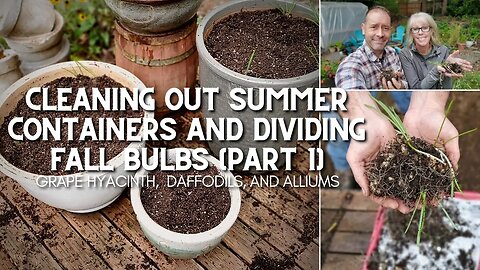 😃 Cleaning Summer Containers and Dividing Bulbs + Book Giveaway 😃