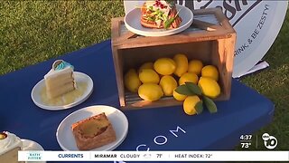 26th annual Chula Vista Lemon Festival