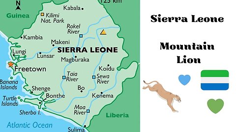 Sierra Leone - Mountain Lion
