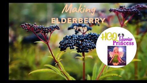 Making Elderberry Syrup Winter Magic